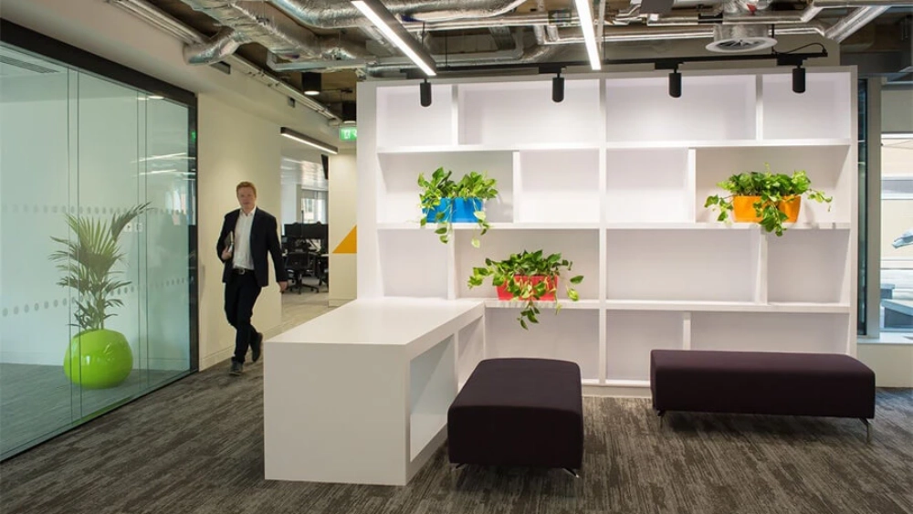 ambius-image-office-2