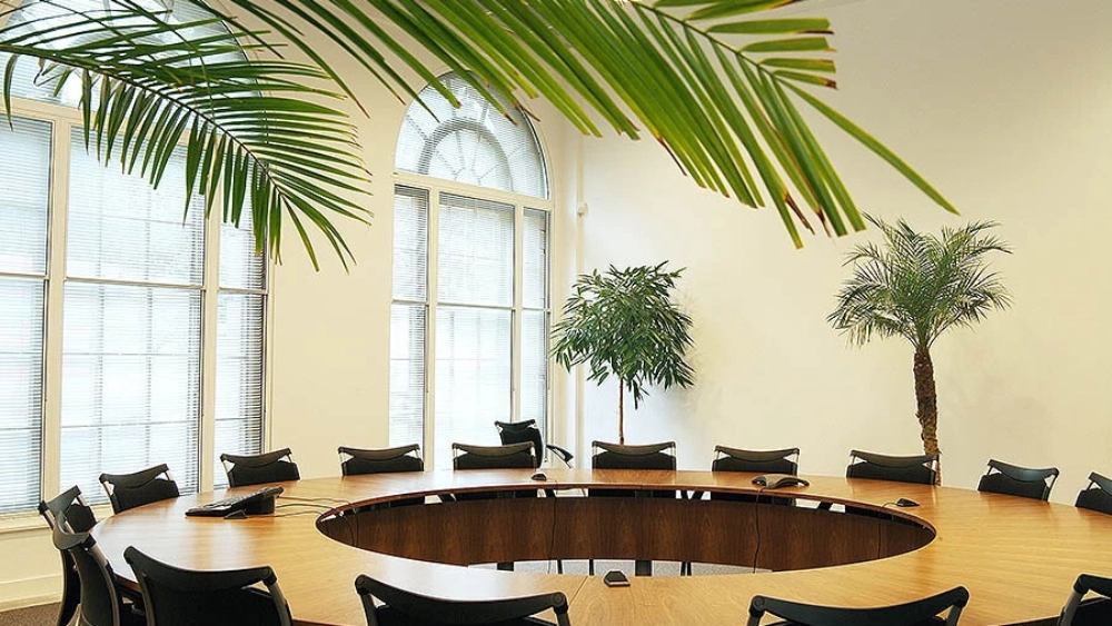 ambius-image-office-5