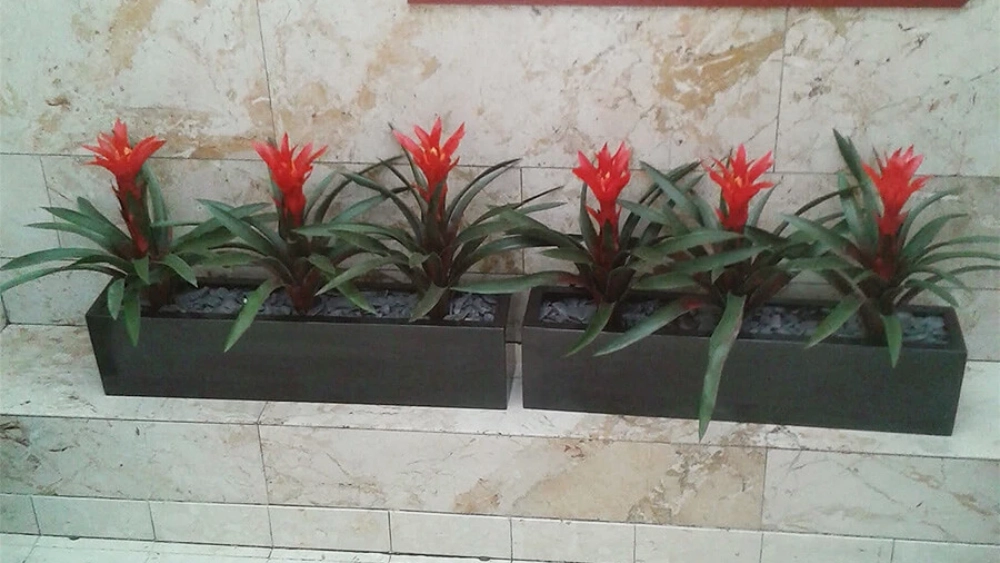ambius-image-artifical-plants-on-ledge-2.webp