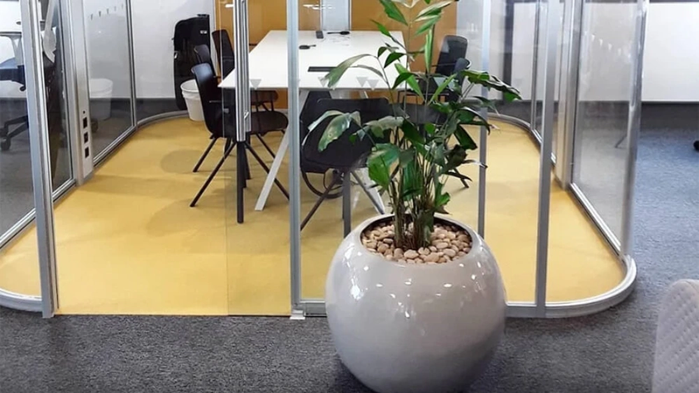 ambius-image-office-3