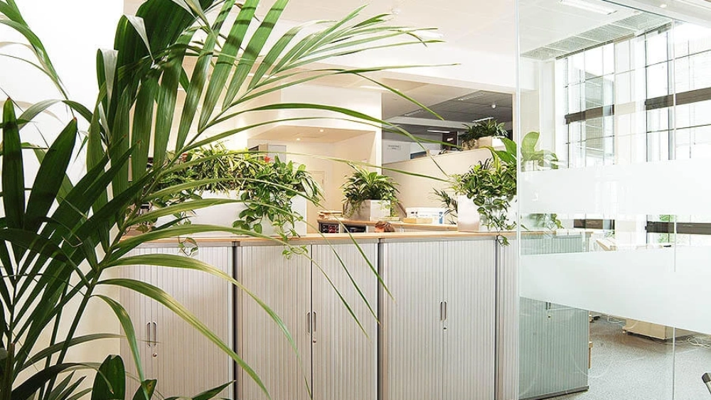 ambius-image-office-8