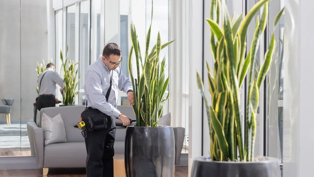 ambius-colleague-image-tech-with-plant-us