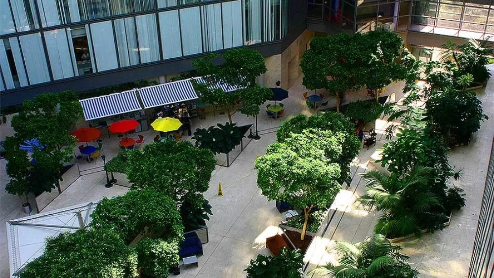 ambius-image-atrium-plants-5