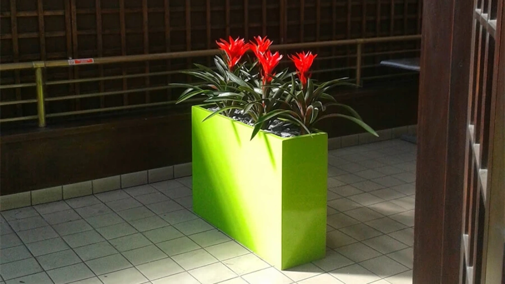 ambius-image-replica-plants-green-container-4.webp