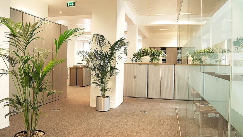 ambius-image-office-7