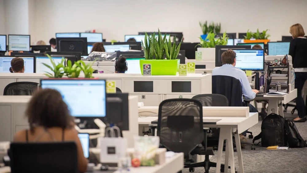 ambius-image-office-4