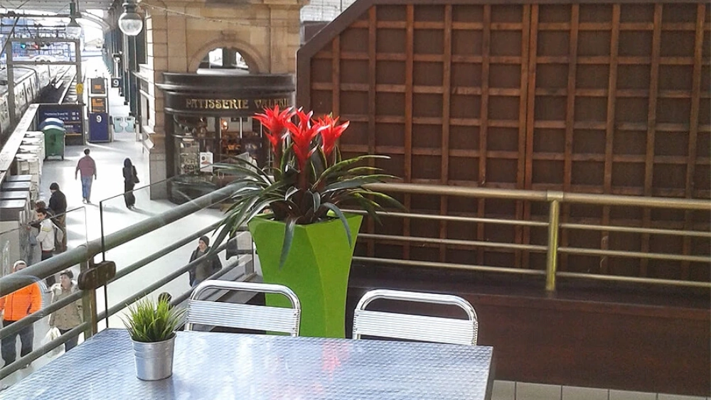 ambius-image-artifical-plants-train-station-cafe-3.webp