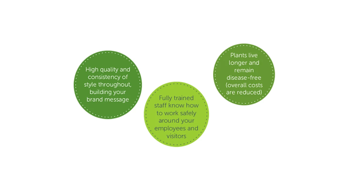 benefits of our service