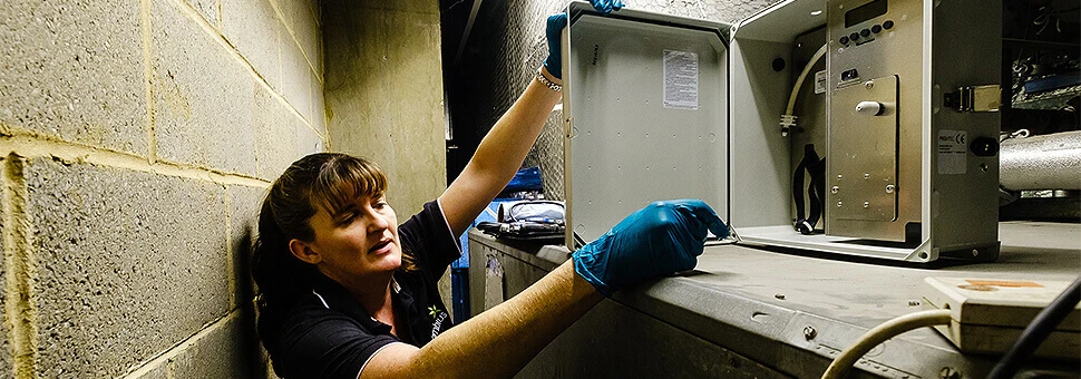 scenting-services-for-businesses